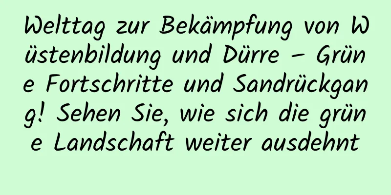 Welttag zur Bekämpfung von Wüstenbildung und Dürre – Grüne Fortschritte und Sandrückgang! Sehen Sie, wie sich die grüne Landschaft weiter ausdehnt