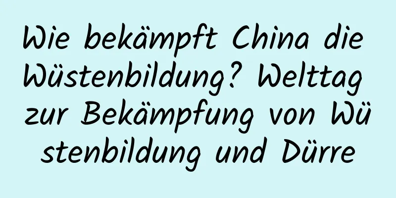 Wie bekämpft China die Wüstenbildung? Welttag zur Bekämpfung von Wüstenbildung und Dürre
