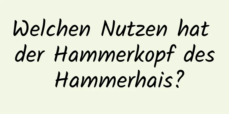 Welchen Nutzen hat der Hammerkopf des Hammerhais?