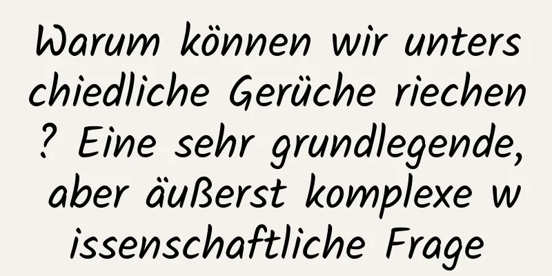 Warum können wir unterschiedliche Gerüche riechen? Eine sehr grundlegende, aber äußerst komplexe wissenschaftliche Frage
