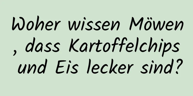Woher wissen Möwen, dass Kartoffelchips und Eis lecker sind?