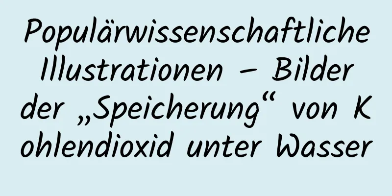 Populärwissenschaftliche Illustrationen – Bilder der „Speicherung“ von Kohlendioxid unter Wasser