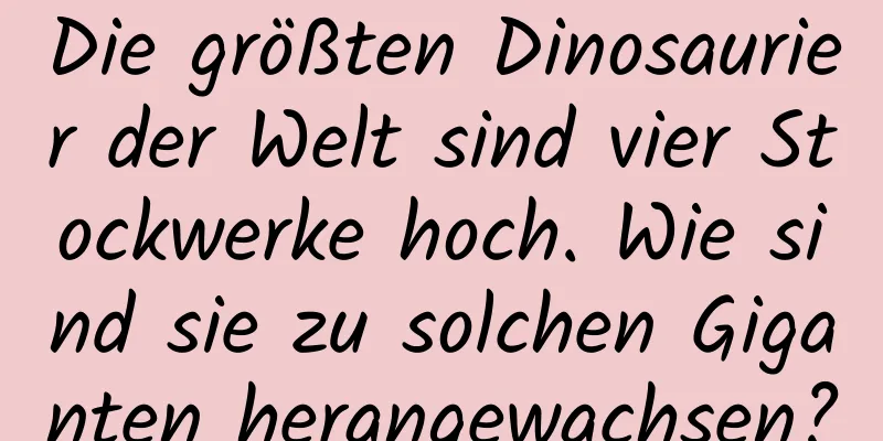 Die größten Dinosaurier der Welt sind vier Stockwerke hoch. Wie sind sie zu solchen Giganten herangewachsen?