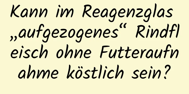 Kann im Reagenzglas „aufgezogenes“ Rindfleisch ohne Futteraufnahme köstlich sein?