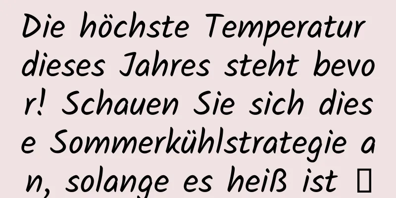 Die höchste Temperatur dieses Jahres steht bevor! Schauen Sie sich diese Sommerkühlstrategie an, solange es heiß ist →