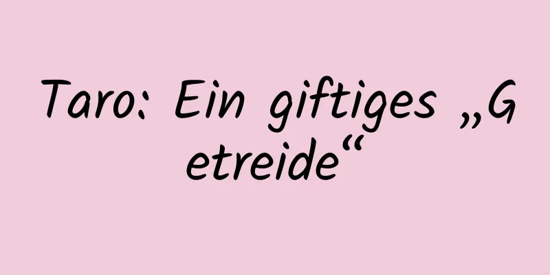Taro: Ein giftiges „Getreide“