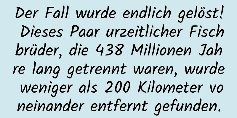 Der Fall wurde endlich gelöst! Dieses Paar urzeitlicher Fischbrüder, die 438 Millionen Jahre lang getrennt waren, wurde weniger als 200 Kilometer voneinander entfernt gefunden.