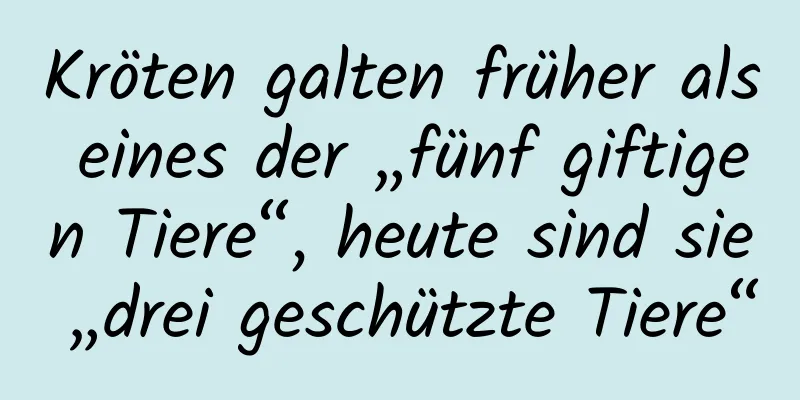 Kröten galten früher als eines der „fünf giftigen Tiere“, heute sind sie „drei geschützte Tiere“