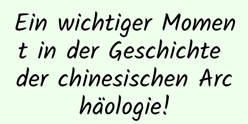 Ein wichtiger Moment in der Geschichte der chinesischen Archäologie!