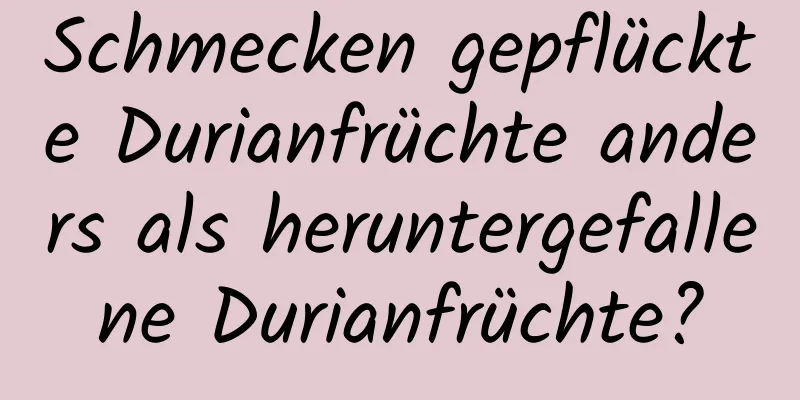 Schmecken gepflückte Durianfrüchte anders als heruntergefallene Durianfrüchte?