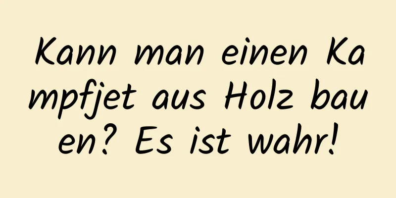 Kann man einen Kampfjet aus Holz bauen? Es ist wahr!