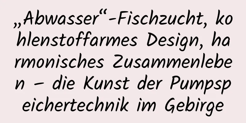 „Abwasser“-Fischzucht, kohlenstoffarmes Design, harmonisches Zusammenleben – die Kunst der Pumpspeichertechnik im Gebirge