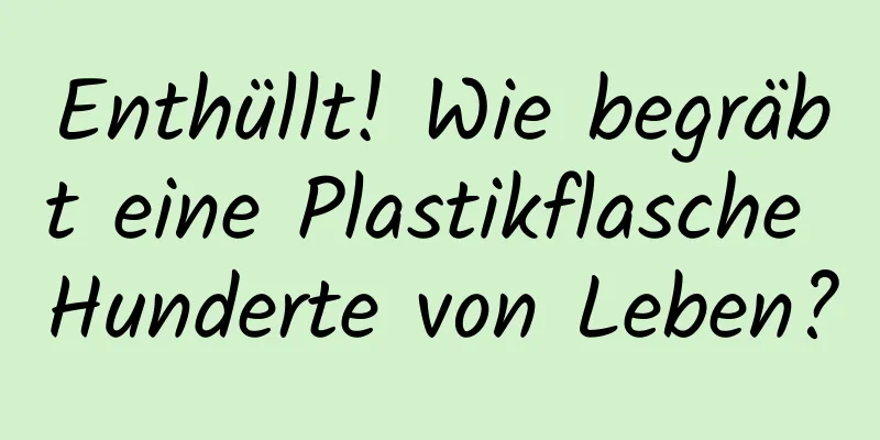 Enthüllt! Wie begräbt eine Plastikflasche Hunderte von Leben?
