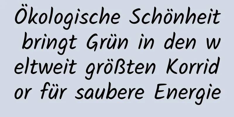 Ökologische Schönheit bringt Grün in den weltweit größten Korridor für saubere Energie