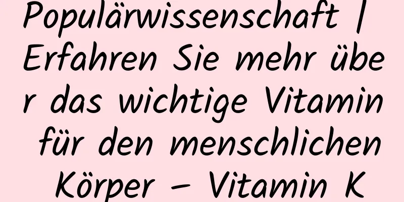 Populärwissenschaft | Erfahren Sie mehr über das wichtige Vitamin für den menschlichen Körper – Vitamin K