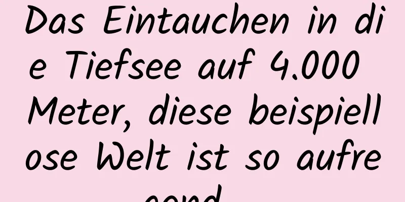 Das Eintauchen in die Tiefsee auf 4.000 Meter, diese beispiellose Welt ist so aufregend …