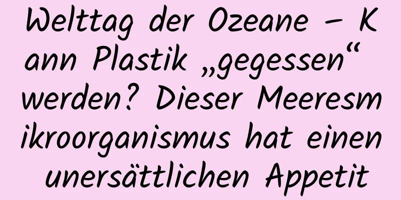 Welttag der Ozeane – Kann Plastik „gegessen“ werden? Dieser Meeresmikroorganismus hat einen unersättlichen Appetit