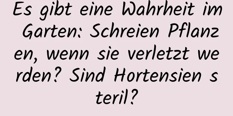 Es gibt eine Wahrheit im Garten: Schreien Pflanzen, wenn sie verletzt werden? Sind Hortensien steril?