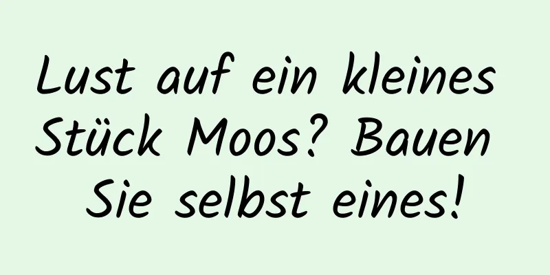 Lust auf ein kleines Stück Moos? Bauen Sie selbst eines!