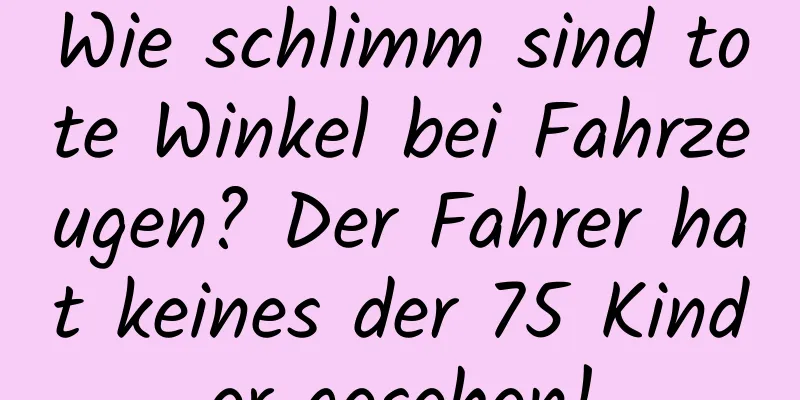 Wie schlimm sind tote Winkel bei Fahrzeugen? Der Fahrer hat keines der 75 Kinder gesehen!