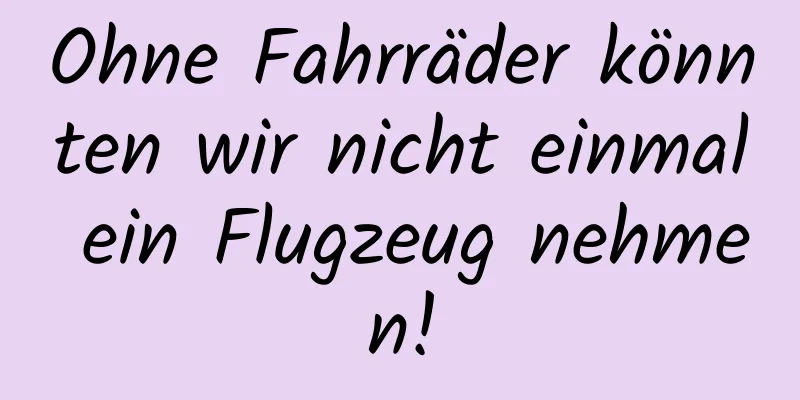 Ohne Fahrräder könnten wir nicht einmal ein Flugzeug nehmen!