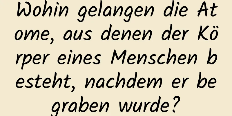 Wohin gelangen die Atome, aus denen der Körper eines Menschen besteht, nachdem er begraben wurde?
