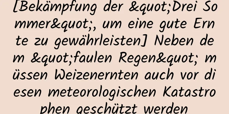[Bekämpfung der "Drei Sommer", um eine gute Ernte zu gewährleisten] Neben dem "faulen Regen" müssen Weizenernten auch vor diesen meteorologischen Katastrophen geschützt werden