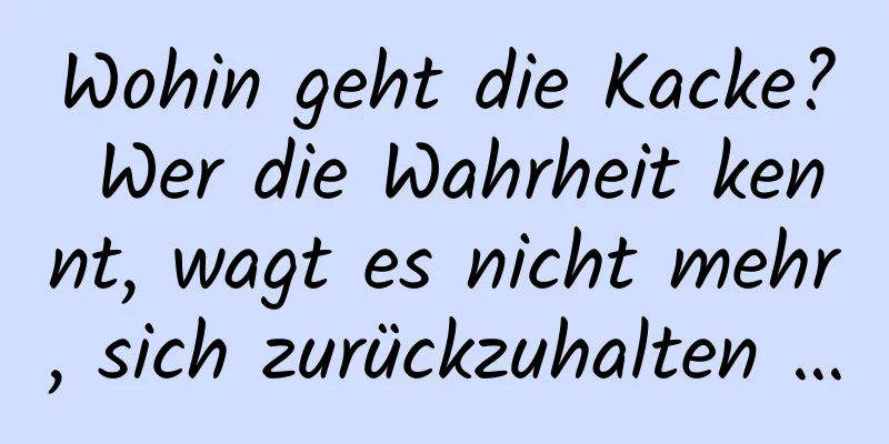 Wohin geht die Kacke? Wer die Wahrheit kennt, wagt es nicht mehr, sich zurückzuhalten …