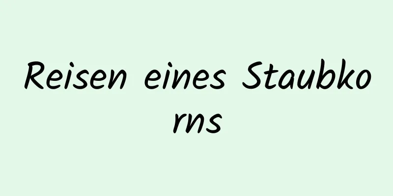 Reisen eines Staubkorns