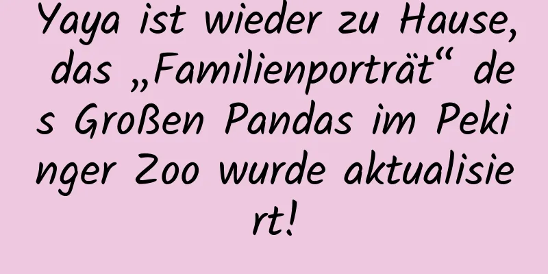 Yaya ist wieder zu Hause, das „Familienporträt“ des Großen Pandas im Pekinger Zoo wurde aktualisiert!