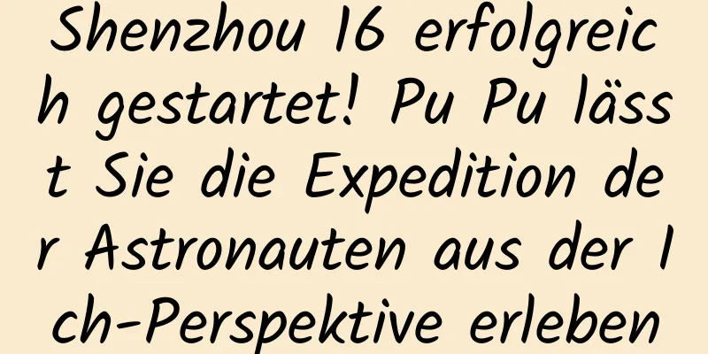 Shenzhou 16 erfolgreich gestartet! Pu Pu lässt Sie die Expedition der Astronauten aus der Ich-Perspektive erleben