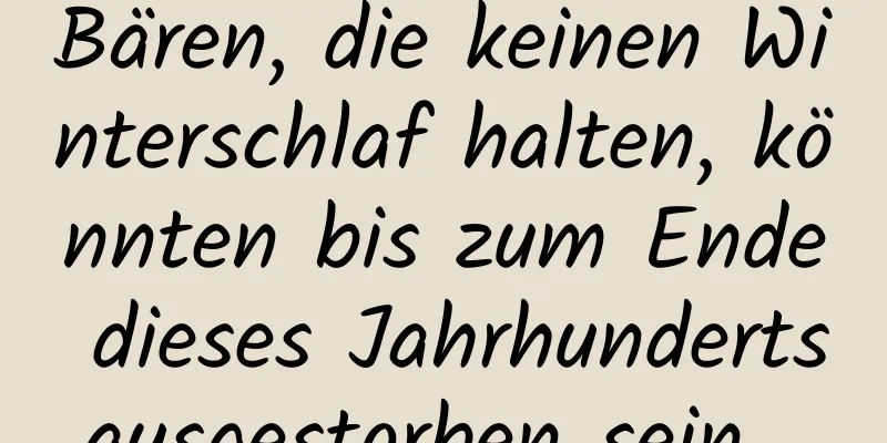 Bären, die keinen Winterschlaf halten, könnten bis zum Ende dieses Jahrhunderts ausgestorben sein ...