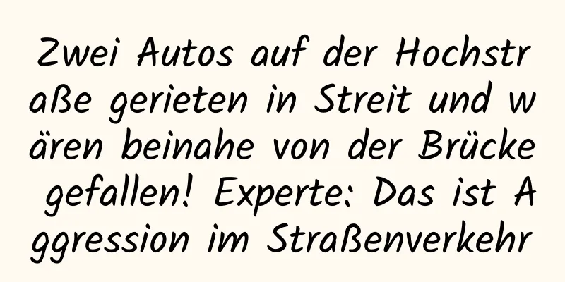 Zwei Autos auf der Hochstraße gerieten in Streit und wären beinahe von der Brücke gefallen! Experte: Das ist Aggression im Straßenverkehr