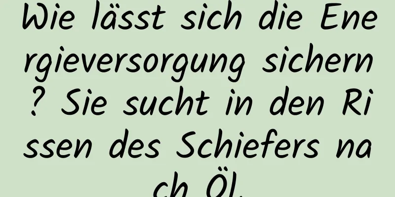 Wie lässt sich die Energieversorgung sichern? Sie sucht in den Rissen des Schiefers nach Öl.