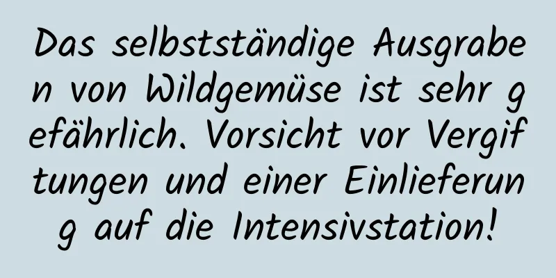 Das selbstständige Ausgraben von Wildgemüse ist sehr gefährlich. Vorsicht vor Vergiftungen und einer Einlieferung auf die Intensivstation!