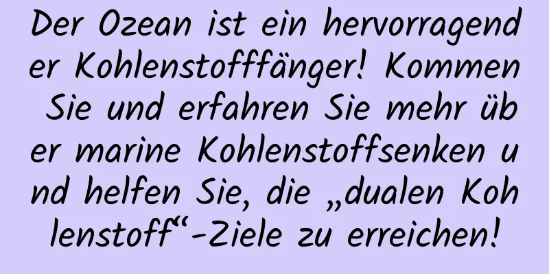 Der Ozean ist ein hervorragender Kohlenstofffänger! Kommen Sie und erfahren Sie mehr über marine Kohlenstoffsenken und helfen Sie, die „dualen Kohlenstoff“-Ziele zu erreichen!