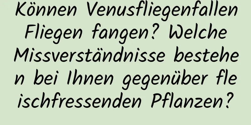 Können Venusfliegenfallen Fliegen fangen? Welche Missverständnisse bestehen bei Ihnen gegenüber fleischfressenden Pflanzen?