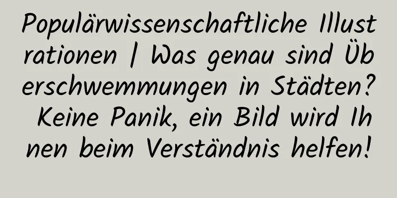 Populärwissenschaftliche Illustrationen | Was genau sind Überschwemmungen in Städten? Keine Panik, ein Bild wird Ihnen beim Verständnis helfen!