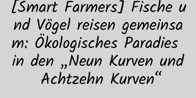 [Smart Farmers] Fische und Vögel reisen gemeinsam: Ökologisches Paradies in den „Neun Kurven und Achtzehn Kurven“