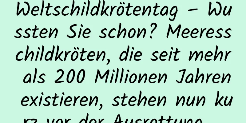 Weltschildkrötentag – Wussten Sie schon? Meeresschildkröten, die seit mehr als 200 Millionen Jahren existieren, stehen nun kurz vor der Ausrottung ...