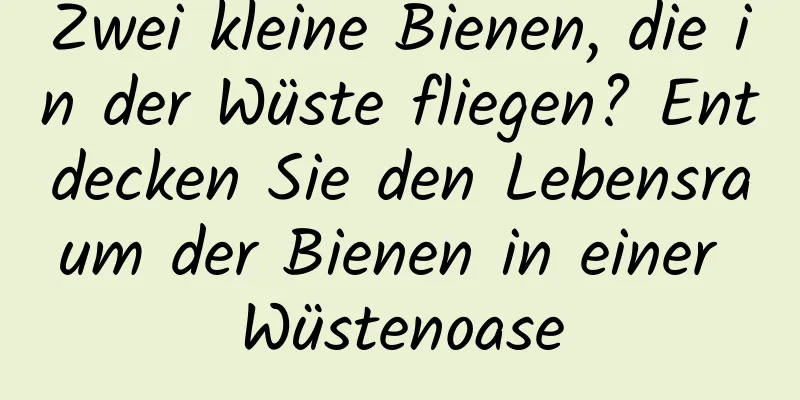 Zwei kleine Bienen, die in der Wüste fliegen? Entdecken Sie den Lebensraum der Bienen in einer Wüstenoase