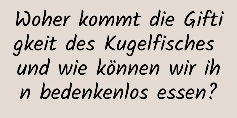 Woher kommt die Giftigkeit des Kugelfisches und wie können wir ihn bedenkenlos essen?