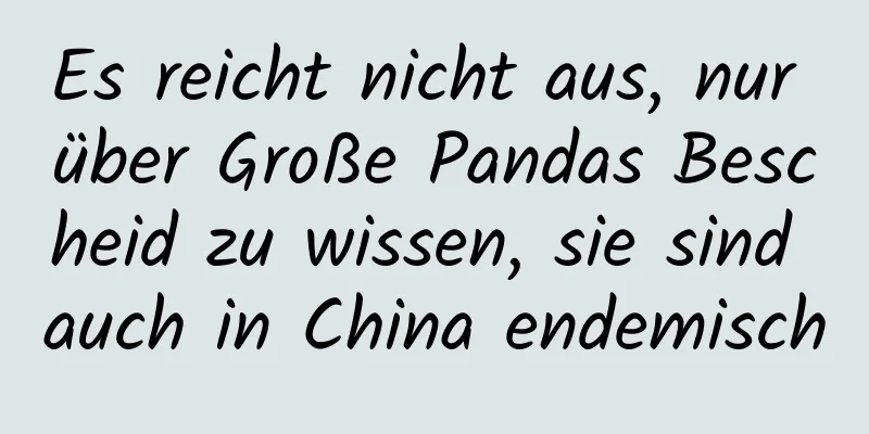 Es reicht nicht aus, nur über Große Pandas Bescheid zu wissen, sie sind auch in China endemisch