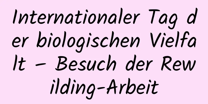 Internationaler Tag der biologischen Vielfalt – Besuch der Rewilding-Arbeit