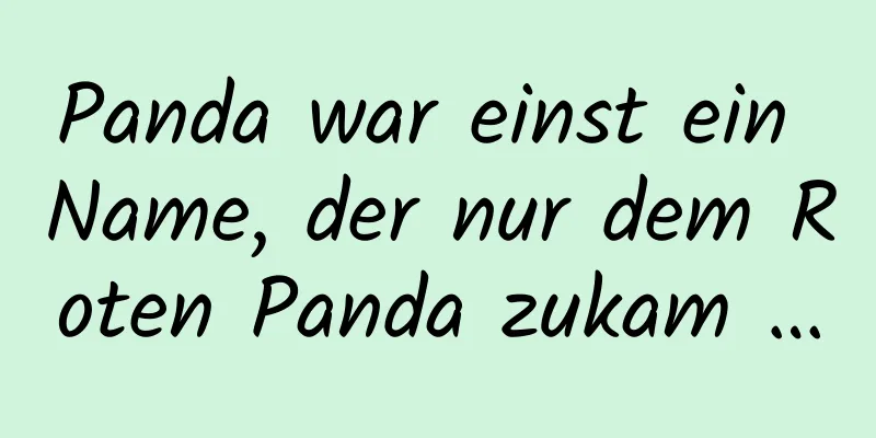 Panda war einst ein Name, der nur dem Roten Panda zukam …