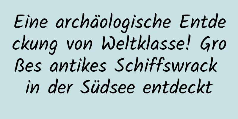 Eine archäologische Entdeckung von Weltklasse! Großes antikes Schiffswrack in der Südsee entdeckt