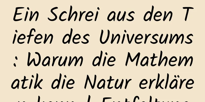 Ein Schrei aus den Tiefen des Universums: Warum die Mathematik die Natur erklären kann | Entfaltung
