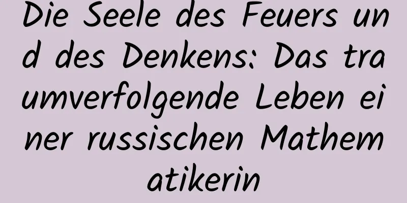 Die Seele des Feuers und des Denkens: Das traumverfolgende Leben einer russischen Mathematikerin
