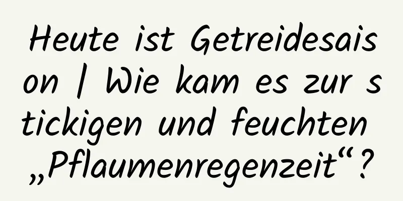 Heute ist Getreidesaison | Wie kam es zur stickigen und feuchten „Pflaumenregenzeit“?
