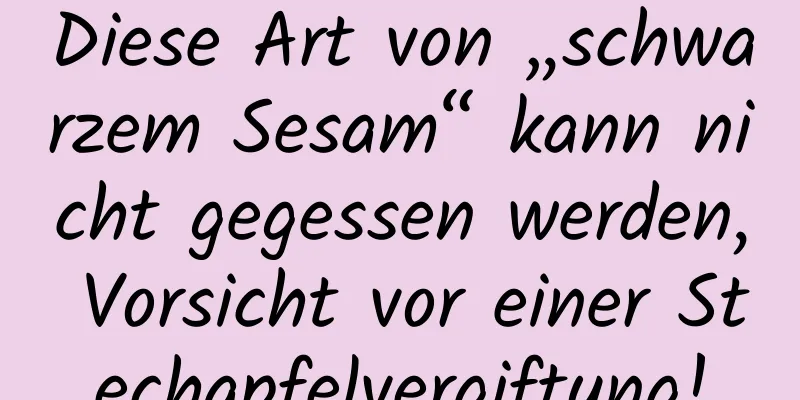 Diese Art von „schwarzem Sesam“ kann nicht gegessen werden, Vorsicht vor einer Stechapfelvergiftung!